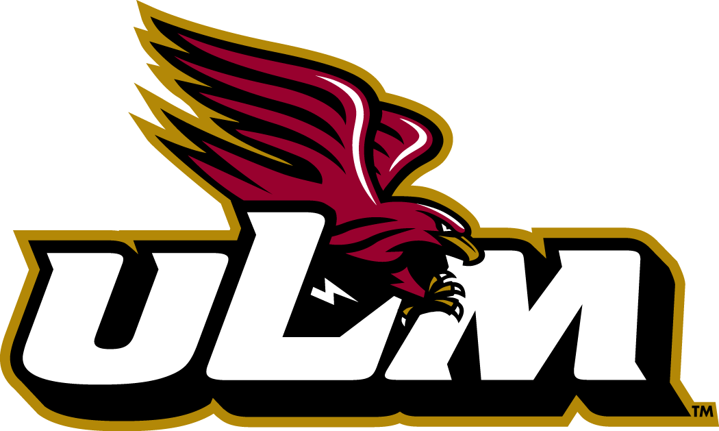 Louisiana-Monroe Warhawks 2006-Pres Alternate Logo v8 diy iron on heat transfer